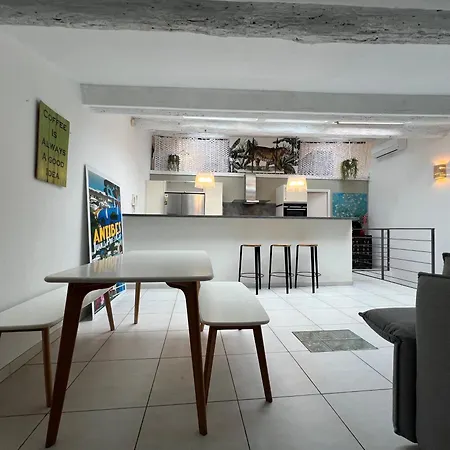Loft Duplex Vieil 公寓 昂蒂布