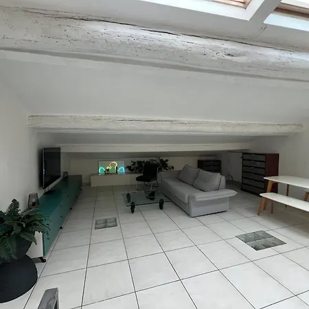 Loft Duplex Vieil * 昂蒂布