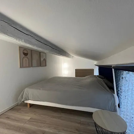 Loft Duplex Vieil 公寓 昂蒂布