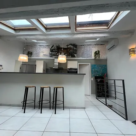 Loft Duplex Vieil * 昂蒂布